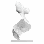 Sculpture Immortelle Curvy de Jocelyn Bouget : buste féminin imprimé en 3D SLS de couleur blanche, vue de profil-trois-quarts gauche, silhouette cambrée en S avec poitrine en avant et hanches voluptueuses dessinées. Pas de tête ni de bras. Le buste est entièrement habillé d'une dentelle florale traditionnelle aux motifs de rosettes et fleurs stylisées sur fond de mailles hexagonales fines, qui dessine les courbes du corps en creux et en pleins. Bords supérieur et inférieur déchirés comme une bande de dentelle découpée. Posée sur un socle blanc plat.