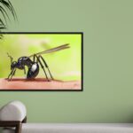 Peinture numérique réaliste d'une fourmi ailée noire posée sur un doigt, sur fond vert. Impression d'art sur Dibon mat par Jocelyn Bouget.