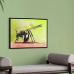 Peinture numérique réaliste d'une fourmi ailée noire posée sur un doigt, sur fond vert. Impression d'art sur Dibon mat par Jocelyn Bouget.