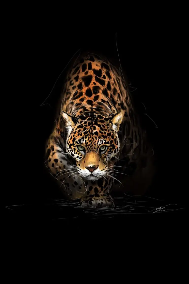 Peinture numérique abouti d'un jaguar sortant de l'ombre, regard vert intense, sur fond noir. Impression d'art sur Dibond mat par Jocelyn Bouget.