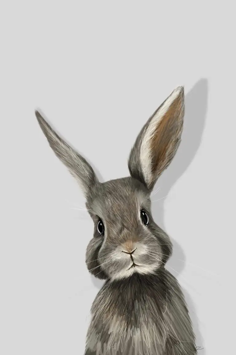 Portrait numérique abouti d'un lapin gris curieux, peinture d'art animalier par Jocelyn Bouget, impression sur Dibond mat.
