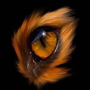 Gros plan réaliste de 'Eye fox', un oeil de renard en peinture numérique par Jocelyn Bouget, impression sur Dibon mat.