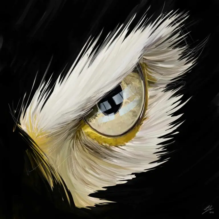 Peinture numérique abouti d'un œil d'aigle perçant sur fond noir, impression d'art sur Dibond mat.