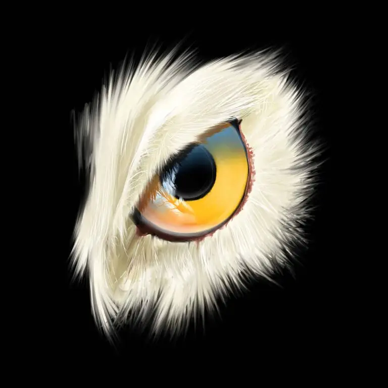 Peinture numérique abouti d'un œil de hibou (chouette) jaune vif sur fond noir, impression d'art sur Dibond mat.