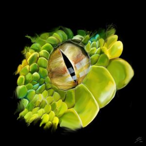 Peinture numérique hyper-réaliste d'un œil de serpent vert et jaune, impression d'art sur Dibon mat.