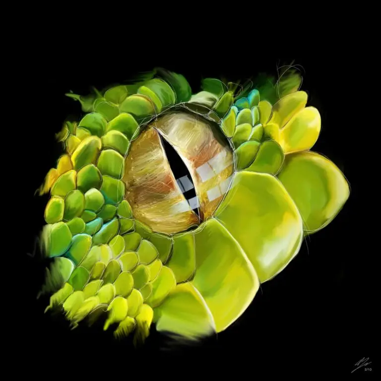 Peinture numérique abouti d'un œil de serpent vert et jaune, impression d'art sur Dibond mat.