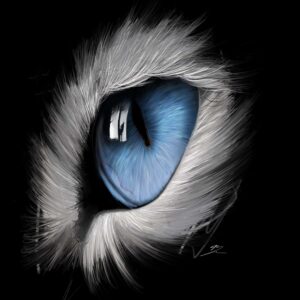 Peinture numérique réaliste de l'œil bleu d'un chat blanc, "Eye Cat" par Jocelyn Bouget, impression sur Dibon mat.