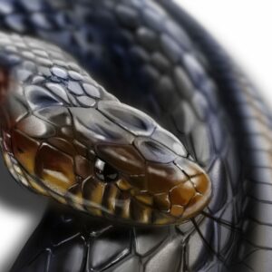 Vue latérale du tableau serpent, révélant l'épaisseur du cadre caisse américaine noire et la qualité du support Dibond.