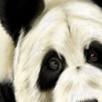 Gros plan artistique sur la tête d'un panda géant, peinture numérique texture fourrure abouti. Tableau Dibond.
