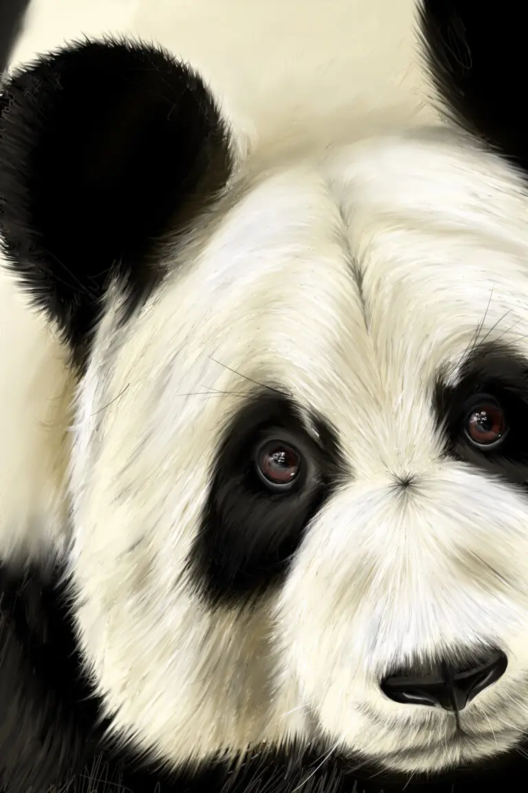 Gros plan artistique sur la tête d'un panda géant, peinture numérique texture fourrure abouti. Tableau Dibond.