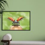 Tableau Dibond grand format représentant une coccinelle aux ailes déployées, accroché sur un mur vert sauge dans un salon moderne.